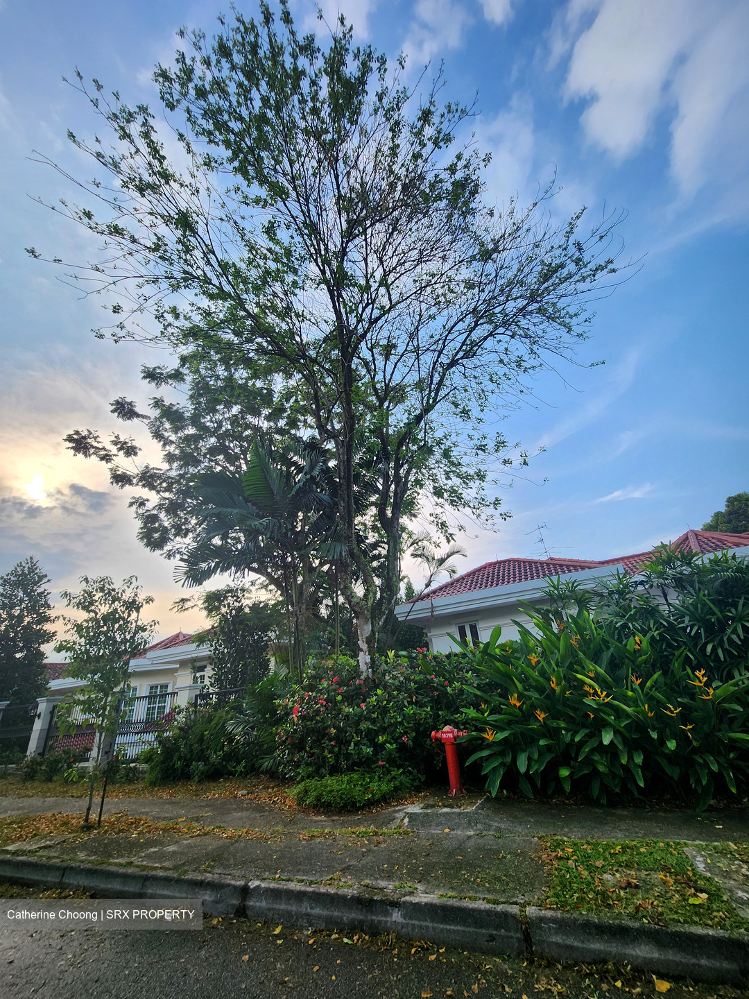 Leedon Road (D10), Detached #596358161